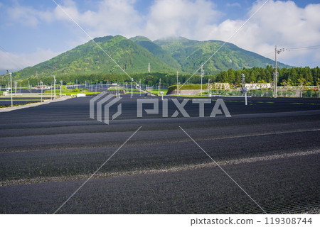 卡布斯茶(卡布斯茶)田《三重縣四日市市水澤町伊勢茶水澤茶》 卡布斯茶(卡布斯茶)田《三重縣四日市市水澤町伊勢茶水澤茶》 119308744