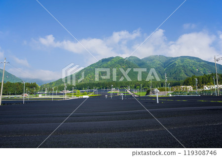卡布斯茶(卡布斯茶)田《三重縣四日市市水澤町伊勢茶水澤茶》 卡布斯茶(卡布斯茶)田《三重縣四日市市水澤町伊勢茶水澤茶》 119308746