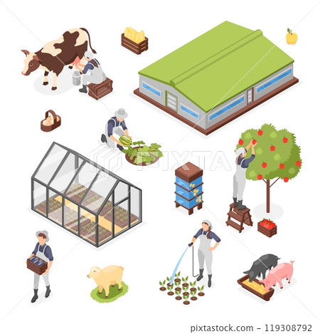 Isometric farm characters. People working with plants and animal in garden, watering and collect fruits and vegetables. Agriculture greenhouse flawless vector set 119308792