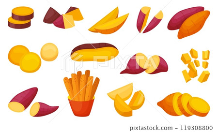 Sweet potato cartoon. Raw batata cut and slices, fried potatoes sticks. Fresh vegan food, agriculture harvest market vegetables neoteric vector elements 119308800