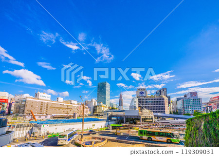 Tokyo cityscape in Japan in October. View of Shinjuku Station and the redevelopment of the west exit... = October 7, 2024 119309031