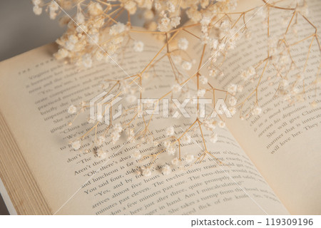 外國書籍室內餐桌照片韓國 外國書籍室內餐桌照片韓國 119309196
