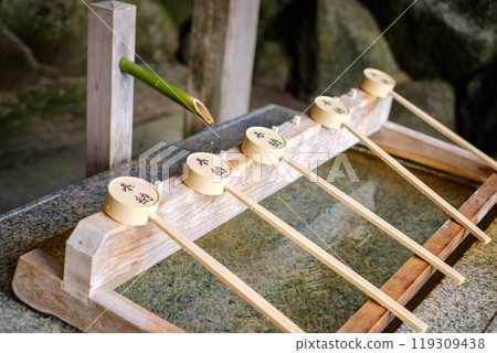 Shrine waters 119309438