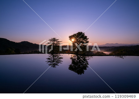 新潟縣十日町市星峠的黎明，梯田的原始風景 119309469