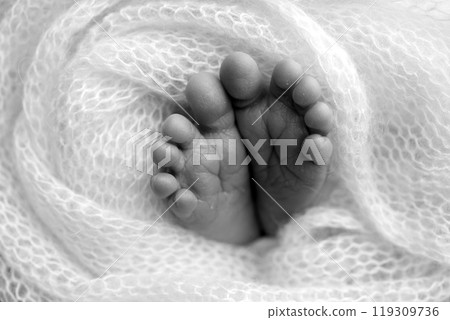 Foot of a newborn. Close up feet, toes, heels, feet of a newborn baby. Studio monochrome, vintage style, black and white macro photography. Foot of a newborn. Close up feet, toes, heels, feet of a newborn baby. Studio monochrome, vintage style, black and white macro photography. 119309736