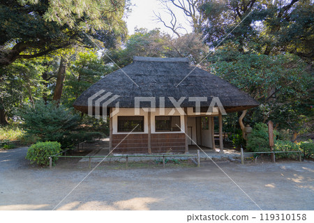 Scenery of Koishikawa Korakuen 8 Scenery of Koishikawa Korakuen 8 119310158