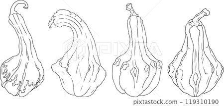 Hand drawn illustration or coloring pages of different types of pumpkins. 119310190