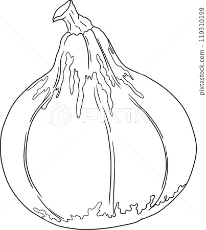 Hand drawn illustration or coloring pages of different types of pumpkins. 119310199