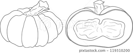 Hand drawn illustration or coloring pages of different types of pumpkins. 119310200