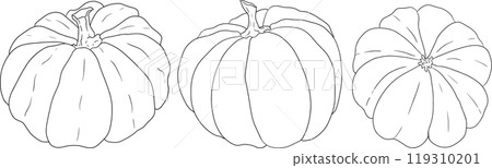 Hand drawn illustration or coloring pages of different types of pumpkins. 119310201