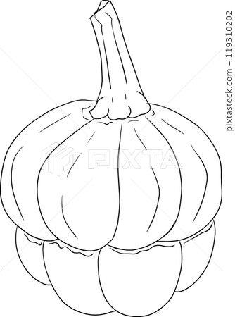 Hand drawn illustration or coloring pages of different types of pumpkins. 119310202
