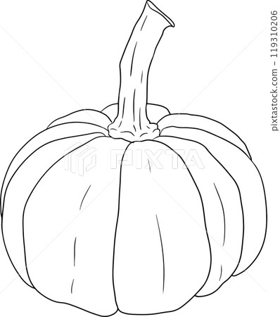 Hand drawn illustration or coloring pages of different types of pumpkins. 119310206