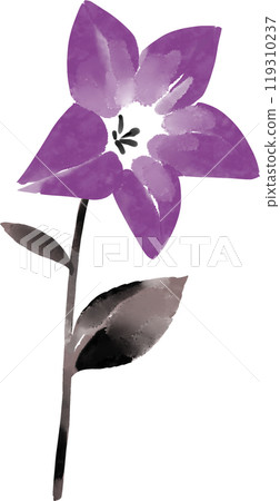 Ink painting of bellflower 119310237