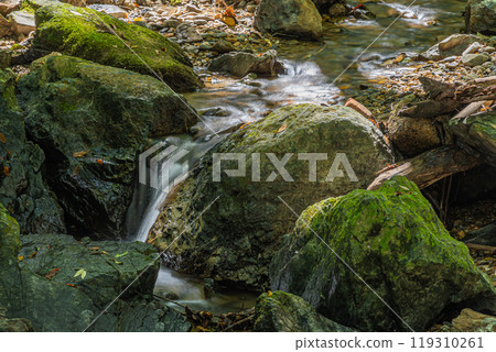 Shirakawa River, a mountain stream flowing into the Uji River, Momiji Valley, Uji City, Kyoto Prefecture Shirakawa River, a mountain stream flowing into the Uji River, Momiji Valley, Uji City, Kyoto Prefecture 119310261