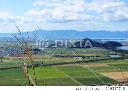 The silver grass of Mt. Yawata and the scenery of Shiga Prefecture behind it The silver grass of Mt. Yawata and the scenery of Shiga Prefecture behind it 119310740