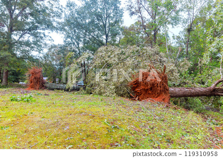 As result of storm hurricane, trees that were uprooted broken had fallen onto roadway 119310958