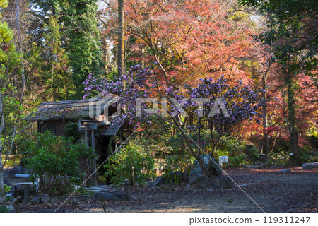 Watermill and autumn leaves at Kyoto Botanical Gardens Watermill and autumn leaves at Kyoto Botanical Gardens 119311247