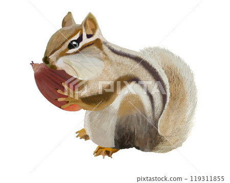 花栗鼠(頰袋)與橡子 花栗鼠(頰袋)與橡子 119311855