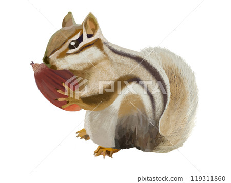 花栗鼠（帶橡實） 119311860