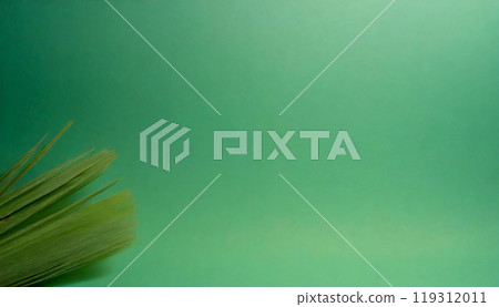 深淡綠色空間素色材質背景 深淡綠色空間素色材質背景 119312011
