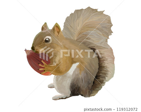 Squirrel (with acorn) Squirrel (with acorn) 119312072