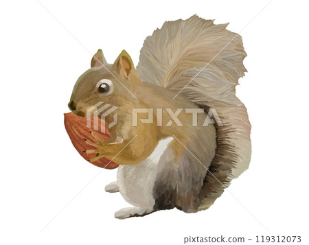 Squirrel (with almonds) 119312073