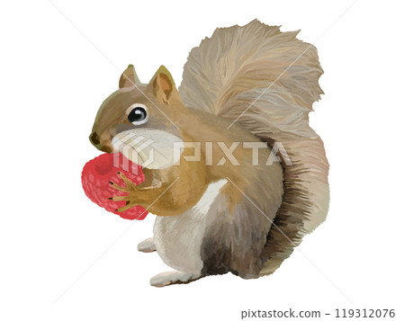 松鼠（頰袋）配覆盆子 119312076