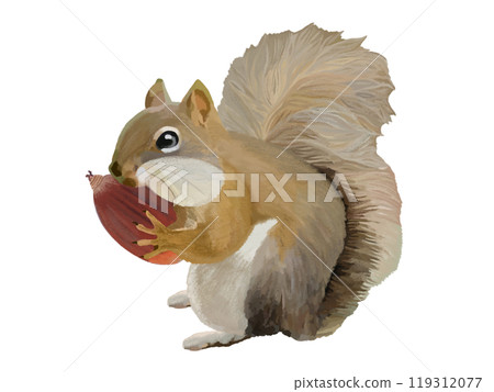 松鼠(頰袋)與橡子 松鼠(頰袋)與橡子 119312077