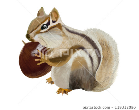Chipmunk (cheek pouch) with chestnuts Chipmunk (cheek pouch) with chestnuts 119312080
