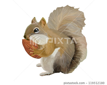 松鼠（頰袋）配杏仁 119312180