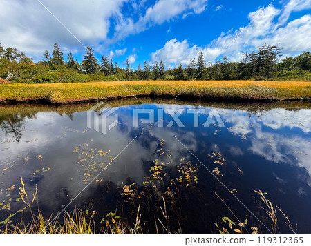Autumn moorland Autumn moorland 119312365