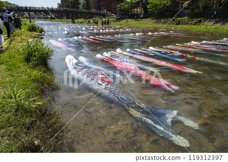 Shallow River - Carp Floating 119312397