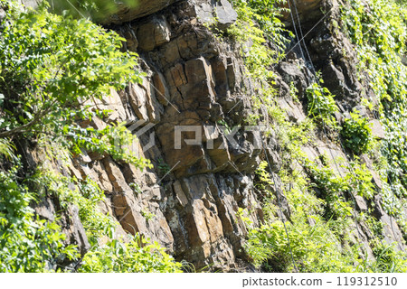 Hakusan Tedorigawa Geopark Kuwajima Fossil Wall Hakusan Tedorigawa Geopark Kuwajima Fossil Wall 119312510