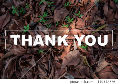 Words "Thank You" written above brown leaves background Words "Thank You" written above brown leaves background 119312776