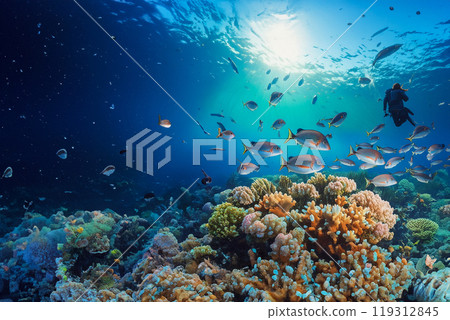 Illustration of coral reef fish and divers Illustration of coral reef fish and divers 119312845