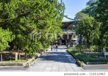 Kamakura City, Head Temple, Kenchoji Temple, Byakushin Garden 119312967