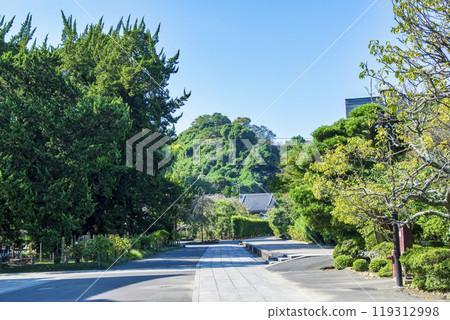 Kamakura City, Head Temple, Kenchoji Temple, grounds towards the main gate Kamakura City, Head Temple, Kenchoji Temple, grounds towards the main gate 119312998