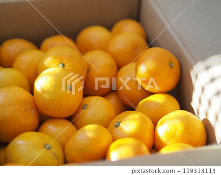 A box full of mandarin oranges 119313113