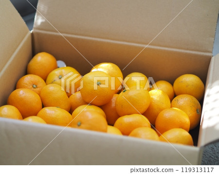 A box full of mandarin oranges 119313117
