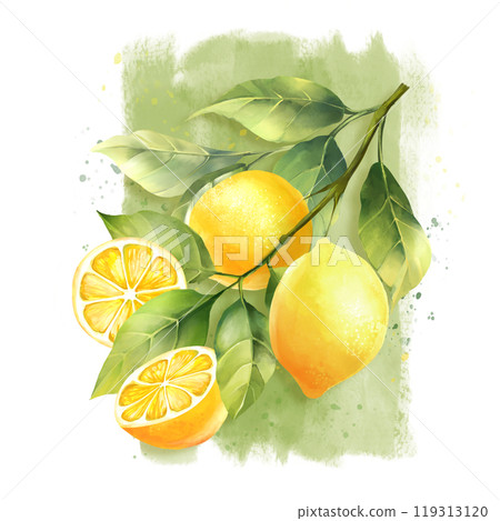 Lemons with leaves, isolated on white background. Hand drawn illustration Lemons with leaves, isolated on white background. Hand drawn illustration 119313120