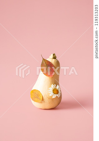 Pumpkin decorated with autumn leaves and flower. Pumpkin decorated with autumn leaves and flower. 119313203