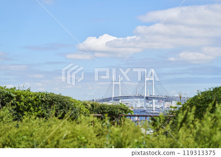 Yokohama Bay Bridge from the hill park where you can see the harbor 119313375