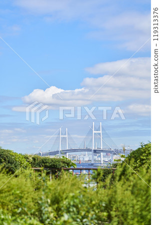 Yokohama Bay Bridge from the hill park where you can see the harbor 119313376