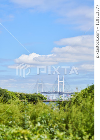 橫濱灣大橋從山上公園,你可以看到海港 橫濱灣大橋從山上公園,你可以看到海港 119313377