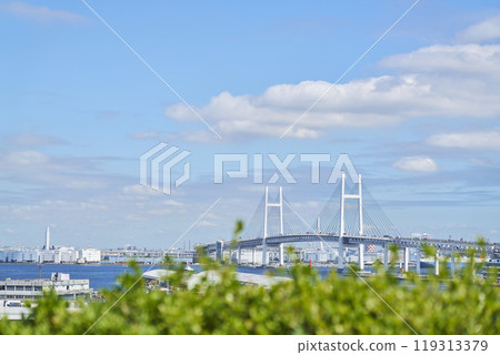 Yokohama Bay Bridge from the hill park where you can see the harbor 119313379