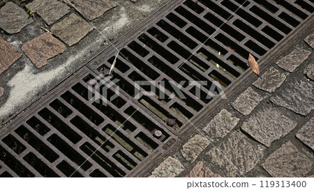 Grating and cobblestone road 119313400
