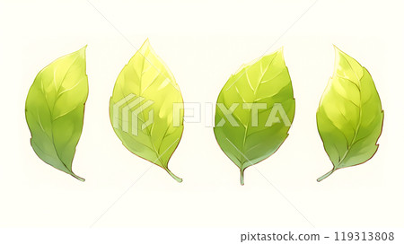 Simple green leaf illustration 119313808