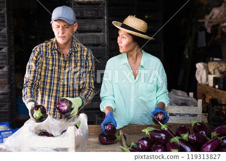 Woman and man working in warehouse 119313827