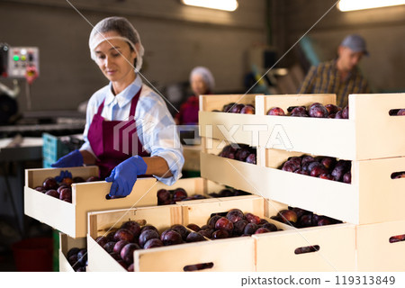 Woman holding crate with plums at warehouse Woman holding crate with plums at warehouse 119313849