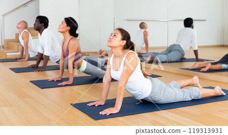 Multiethnic group of young people practicing yoga 119313931
